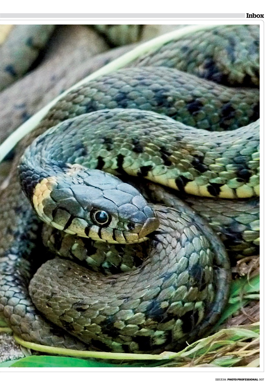 Professional Photo Preview Pages