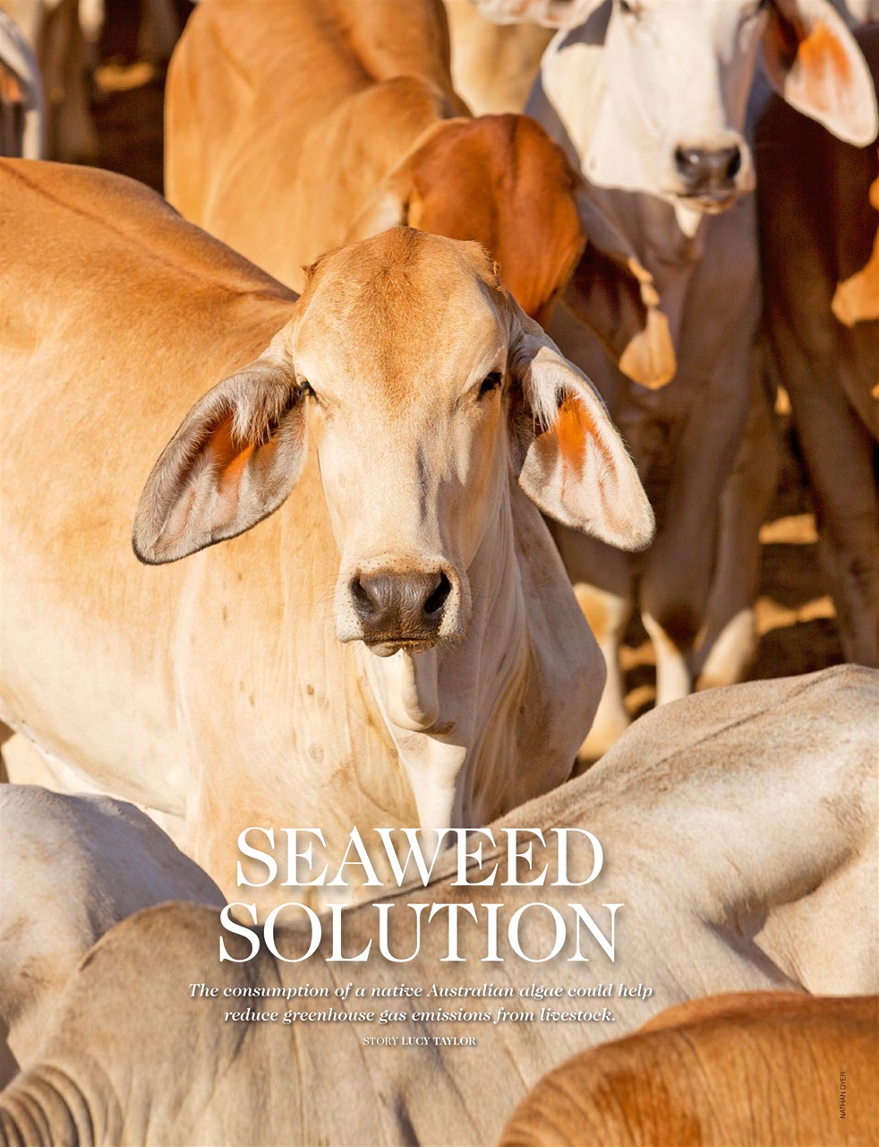 OUTBACK Magazine Preview Pages