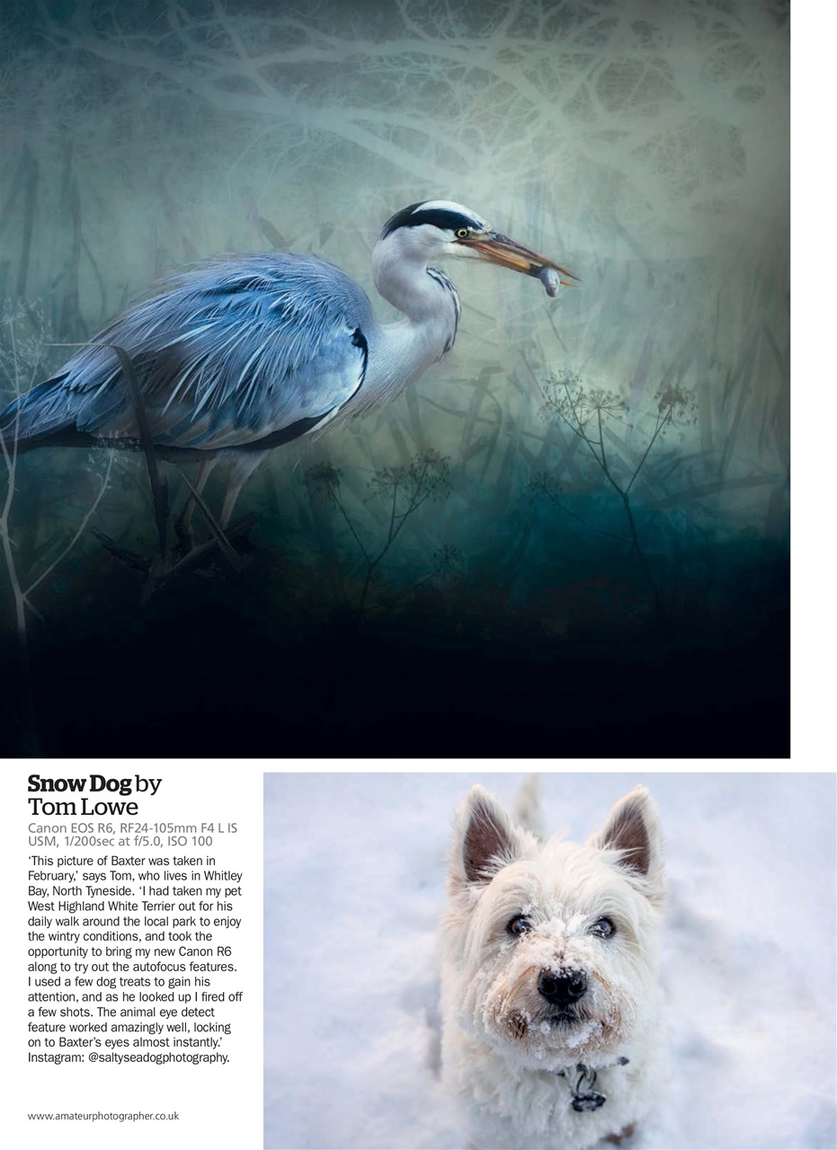 Amateur Photographer Preview Pages