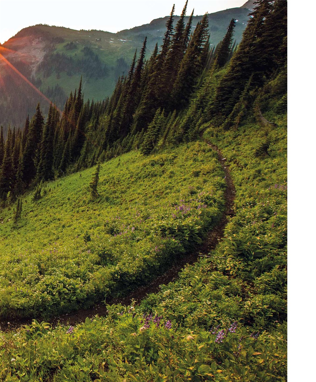 Mountain Flyer Preview Pages