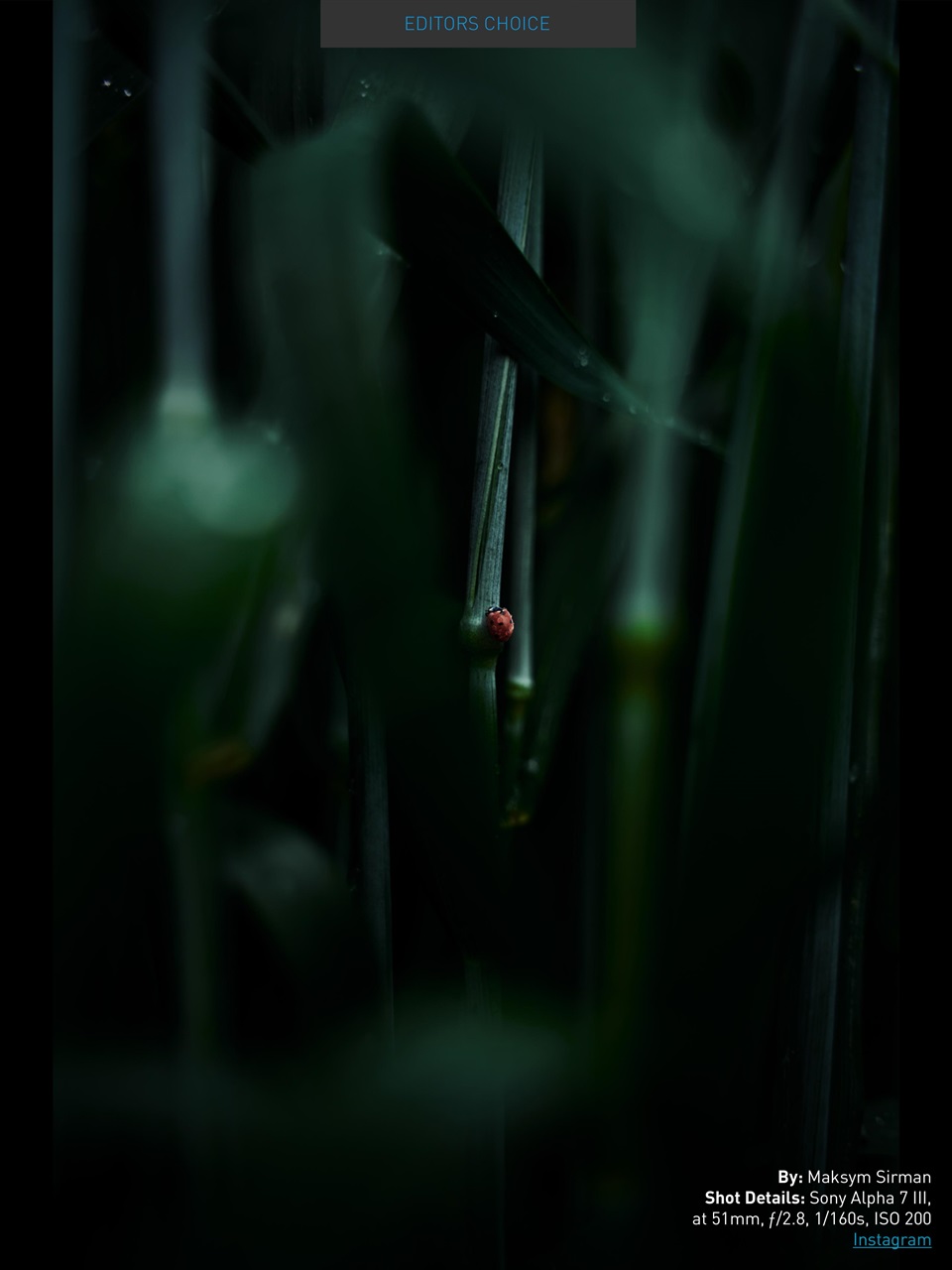 Photography Masterclass Magazine Preview Pages