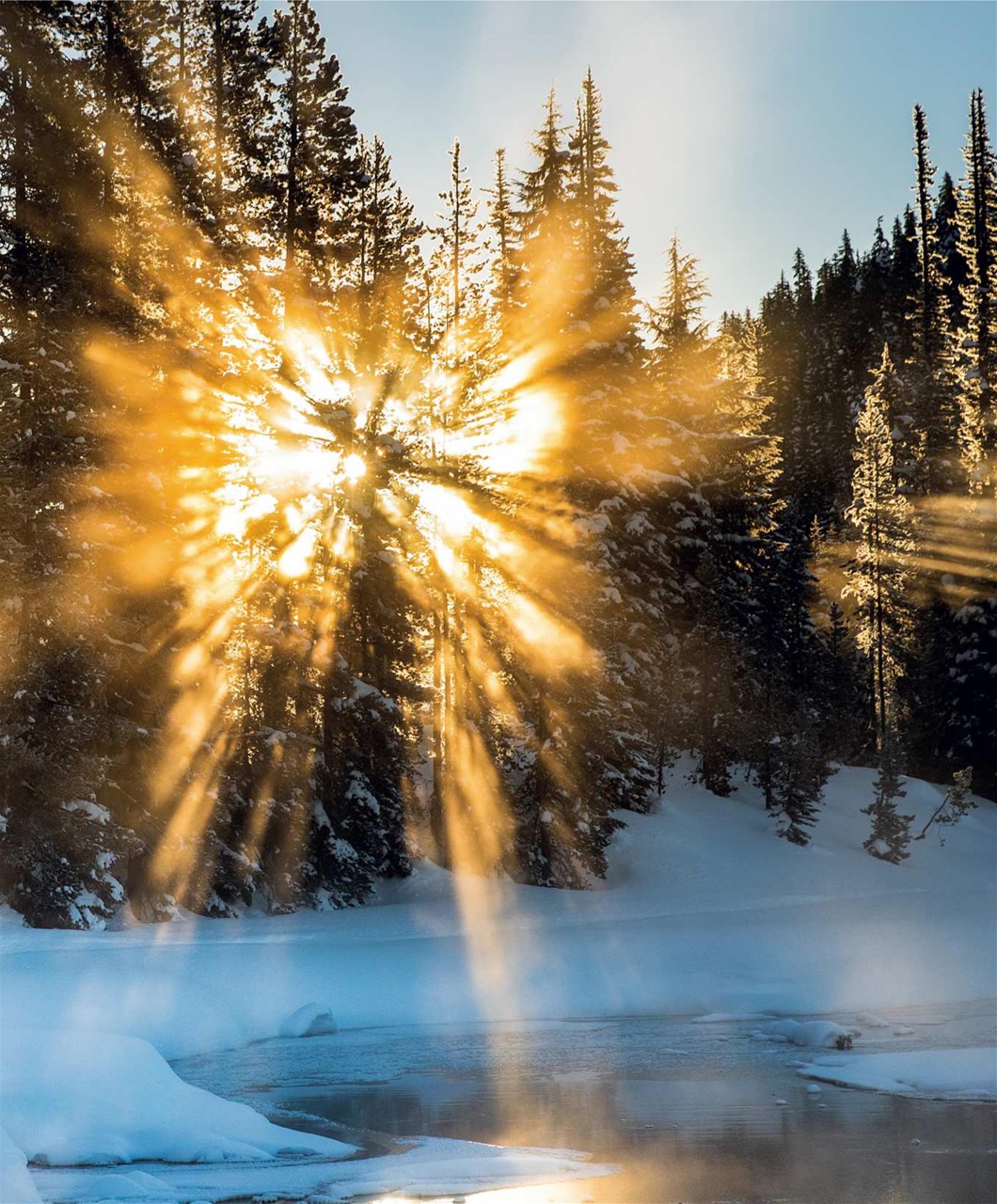 Backcountry Preview Pages