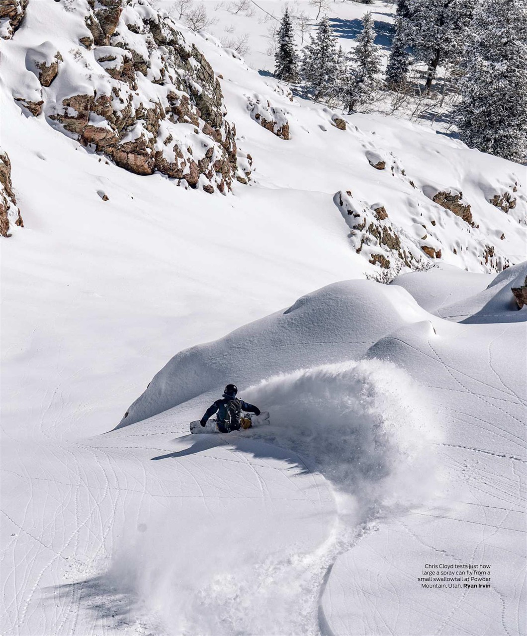 Backcountry Preview Pages
