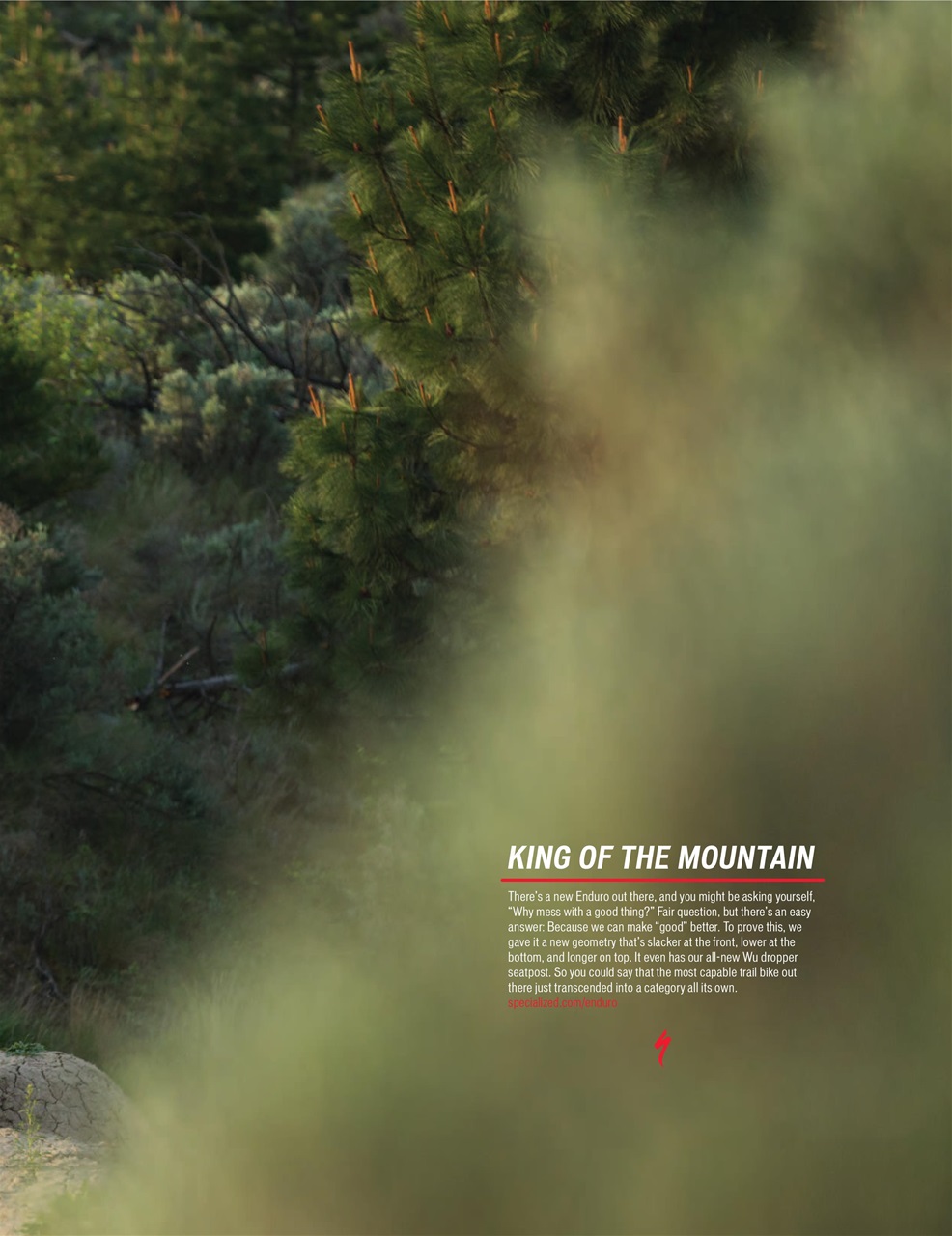 Mountain Flyer Preview Pages