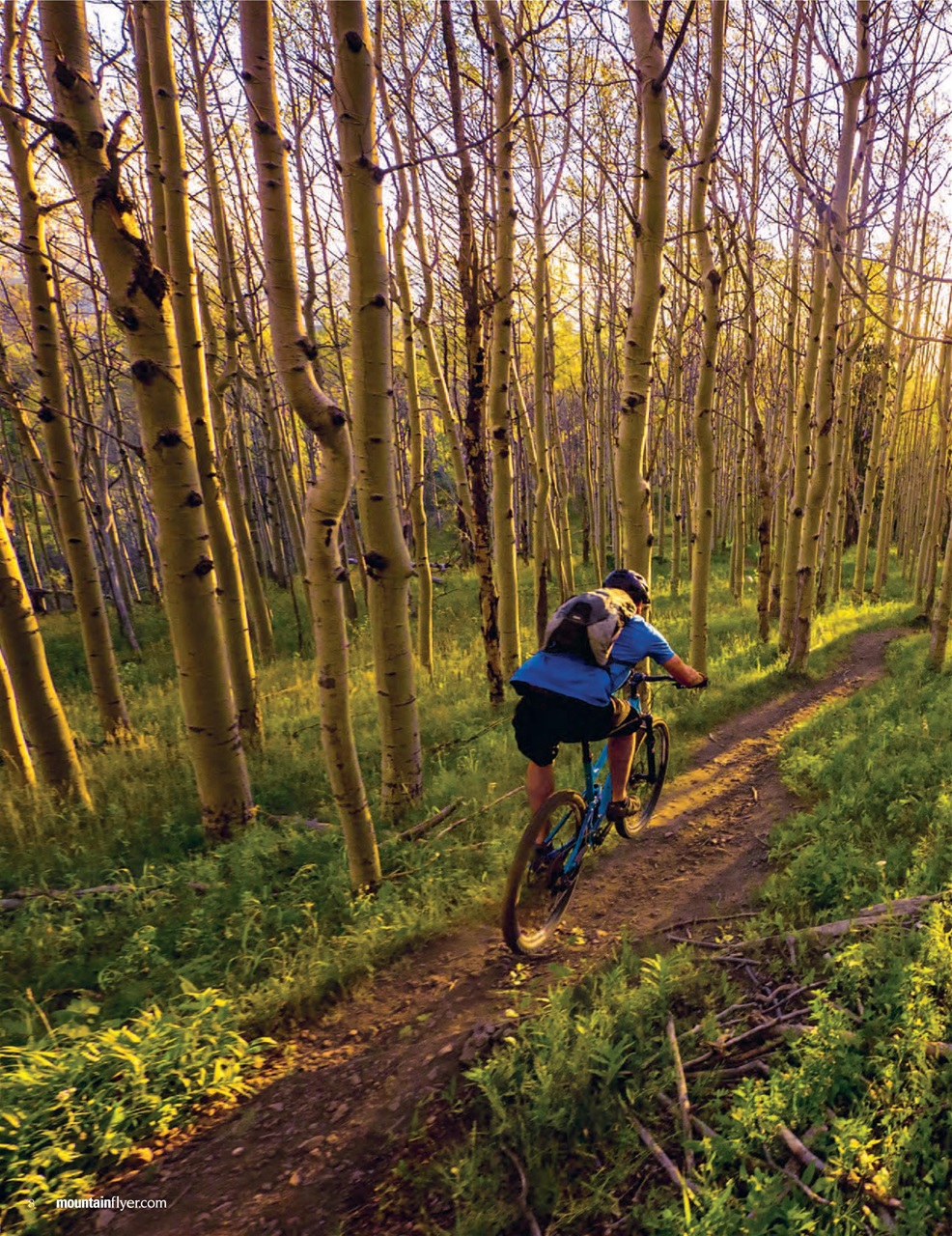 Mountain Flyer Preview Pages