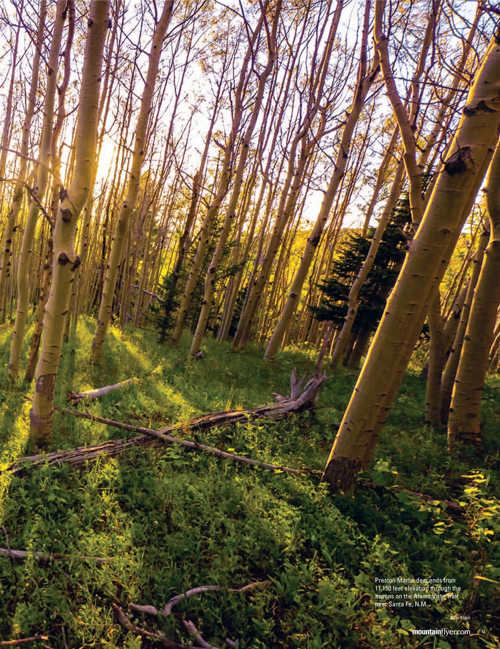 Mountain Flyer Preview Pages