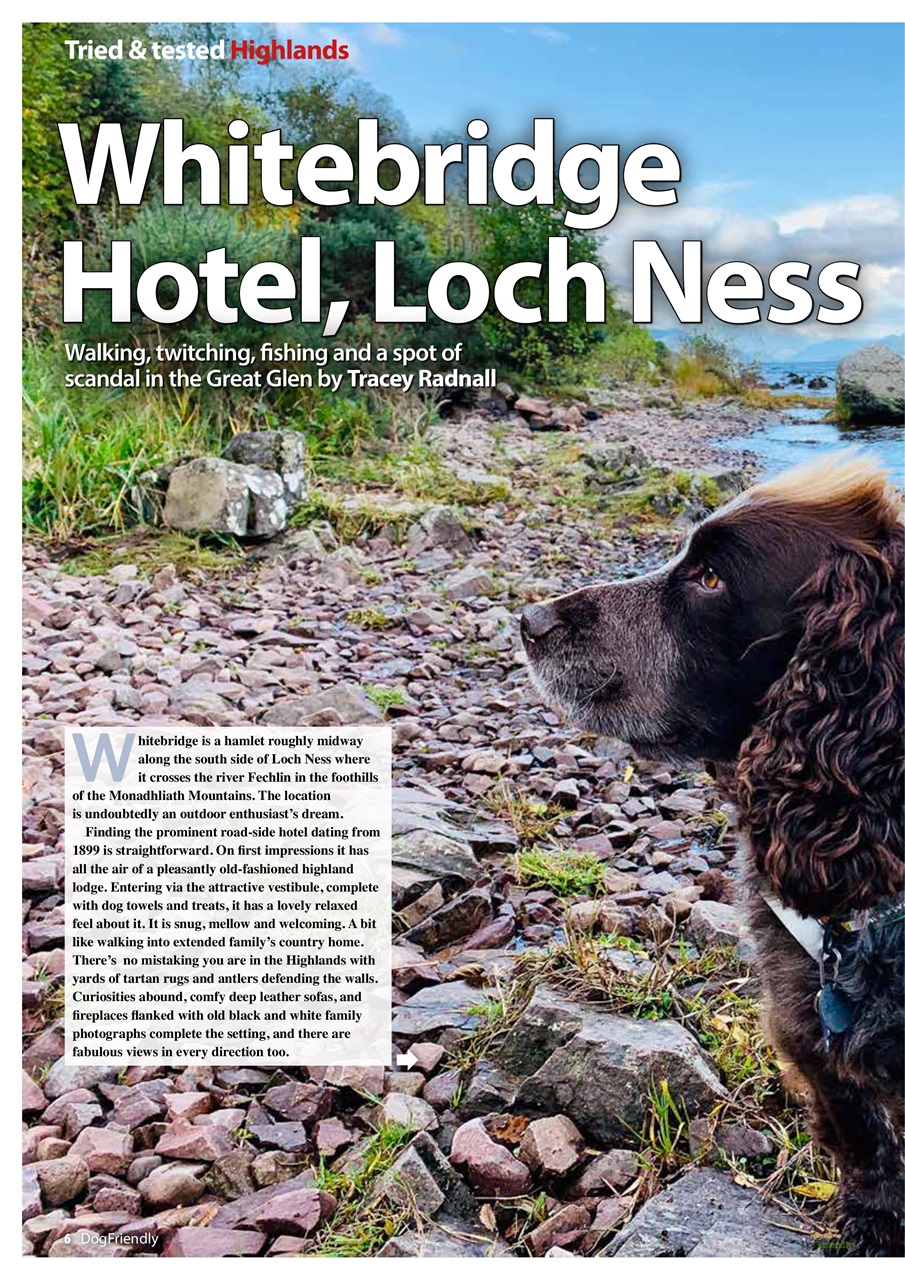 Dog Friendly Preview Pages