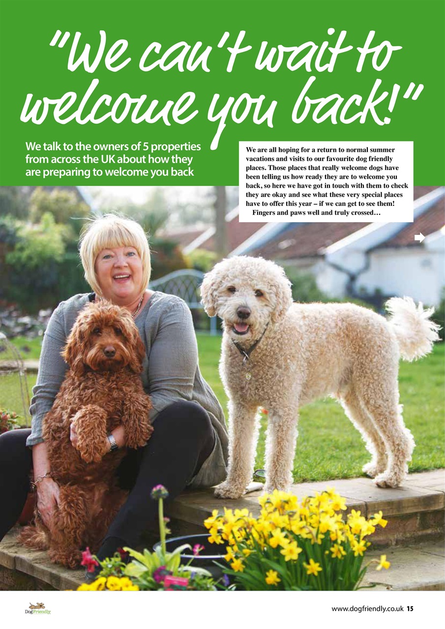Dog Friendly Preview Pages