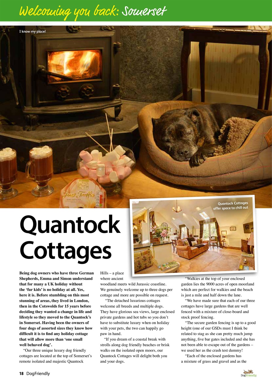 Dog Friendly Preview Pages