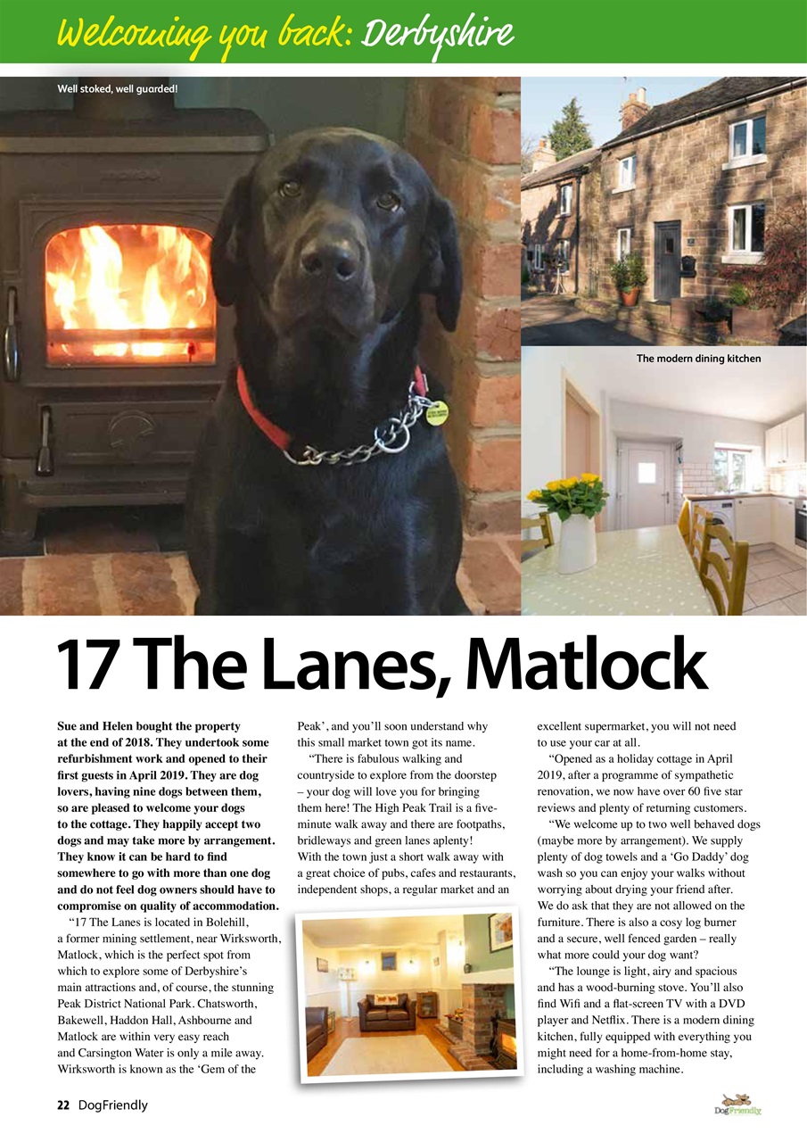 Dog Friendly Preview Pages