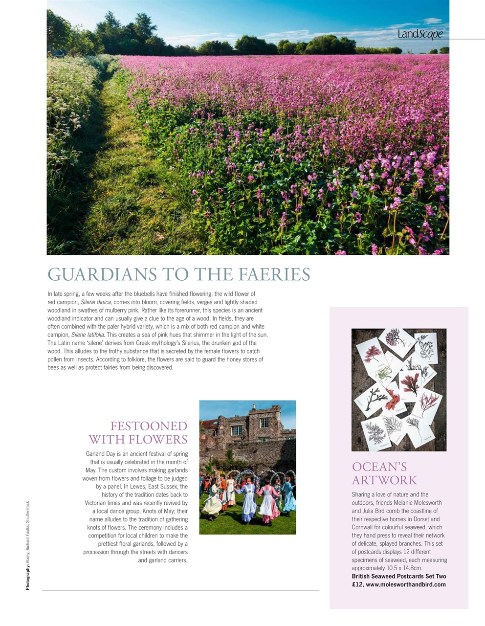 LandScape Preview Pages