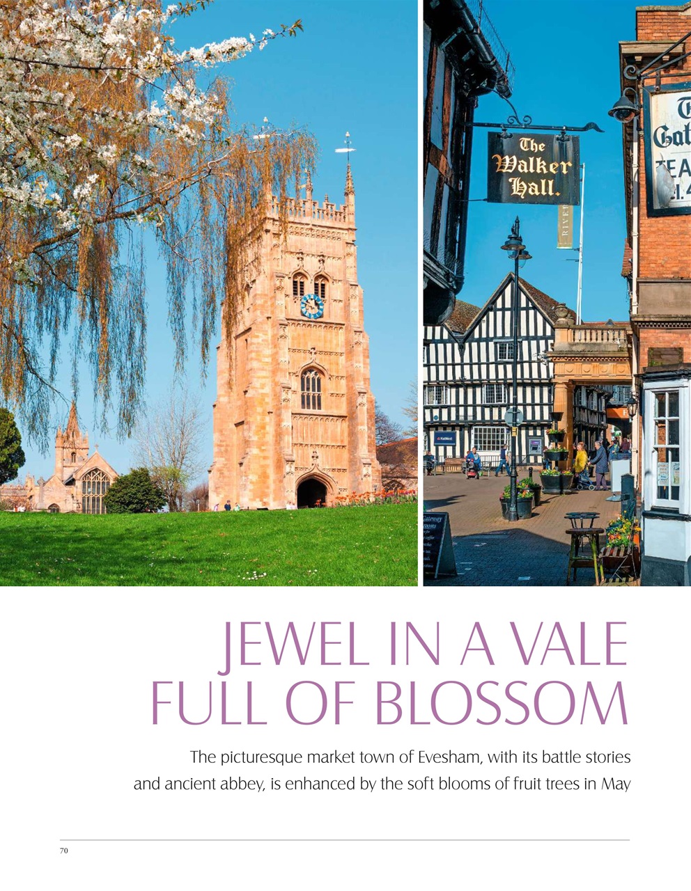 LandScape Preview Pages