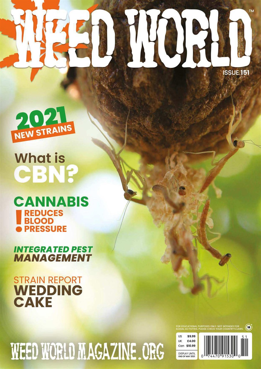 Weed World Preview Pages