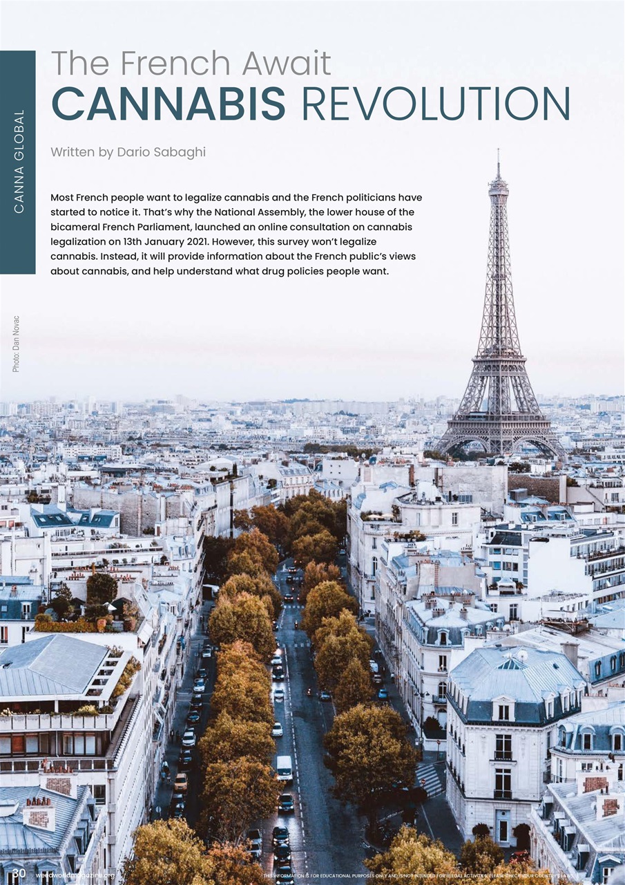 Weed World Preview Pages