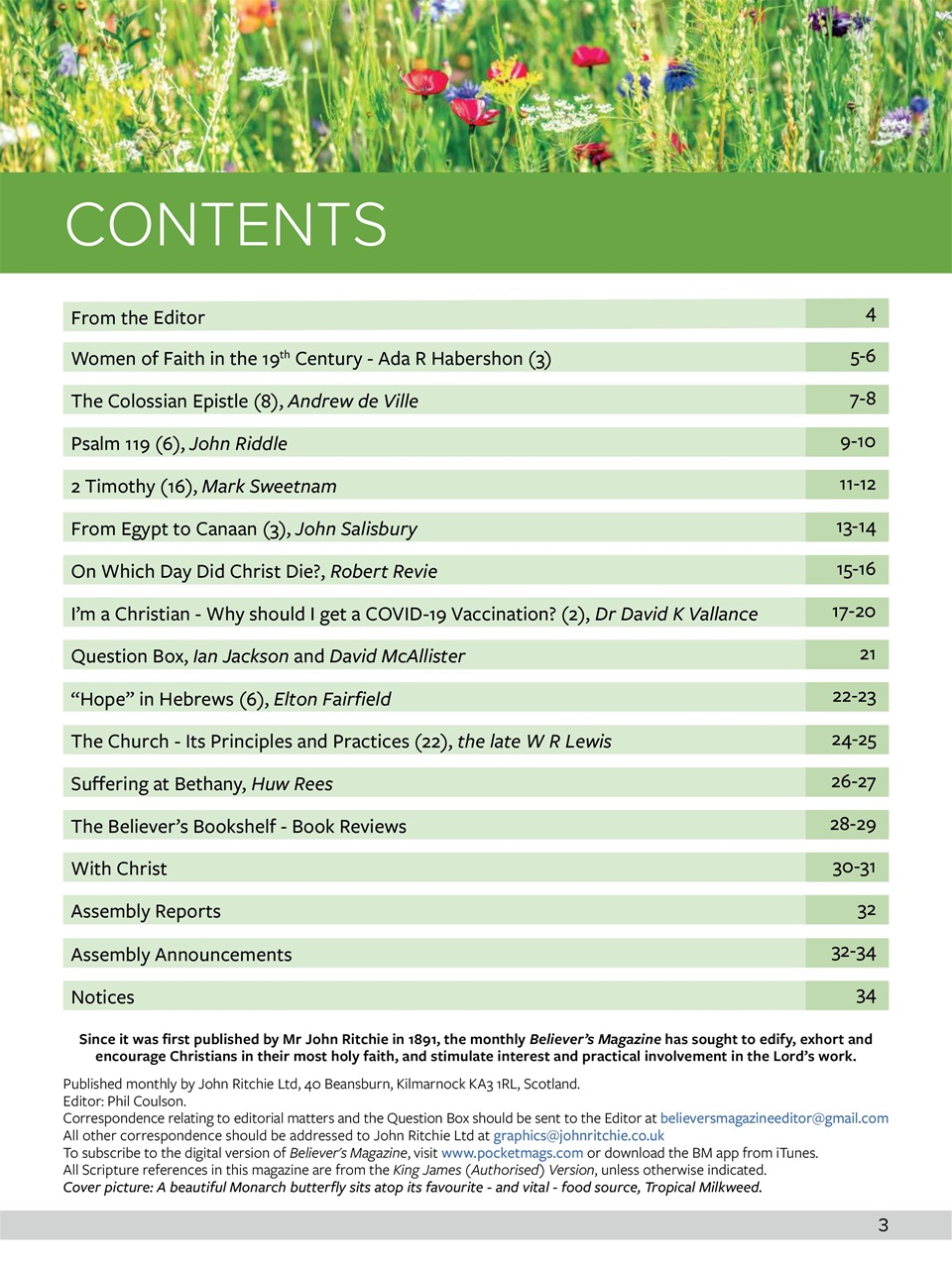 Believer Magazine Preview Pages