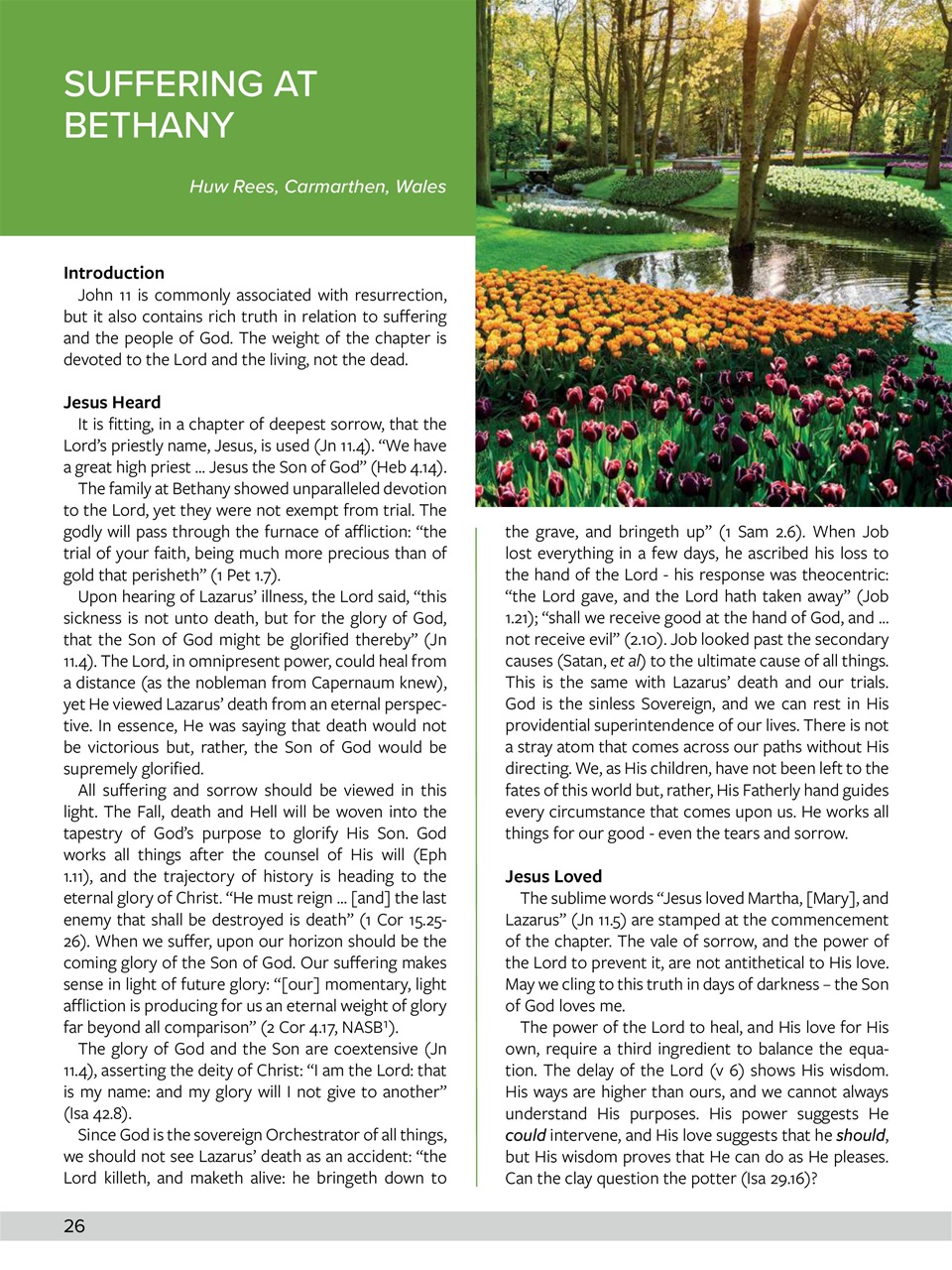 Believer Magazine Preview Pages