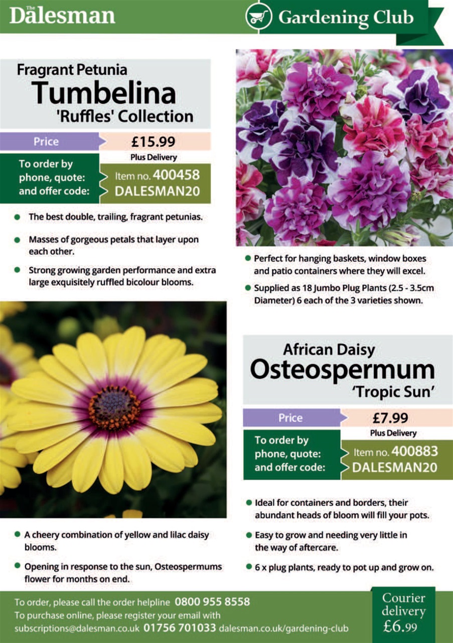 The Yorkshire Dalesman Preview Pages