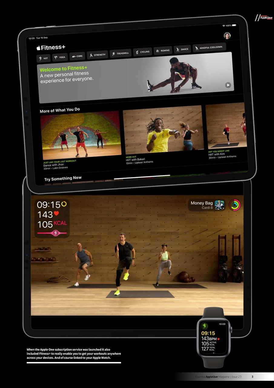 Essential Apple User Preview Pages