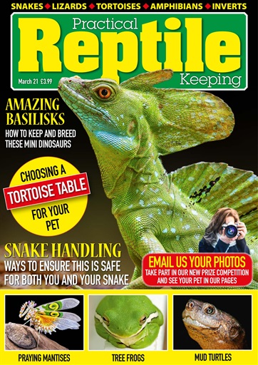 Practical Reptile Keeping issue 