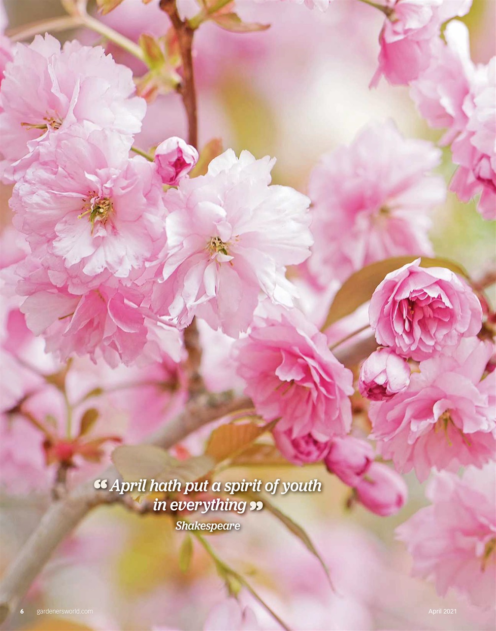 BBC Gardeners’ World Magazine Preview Pages
