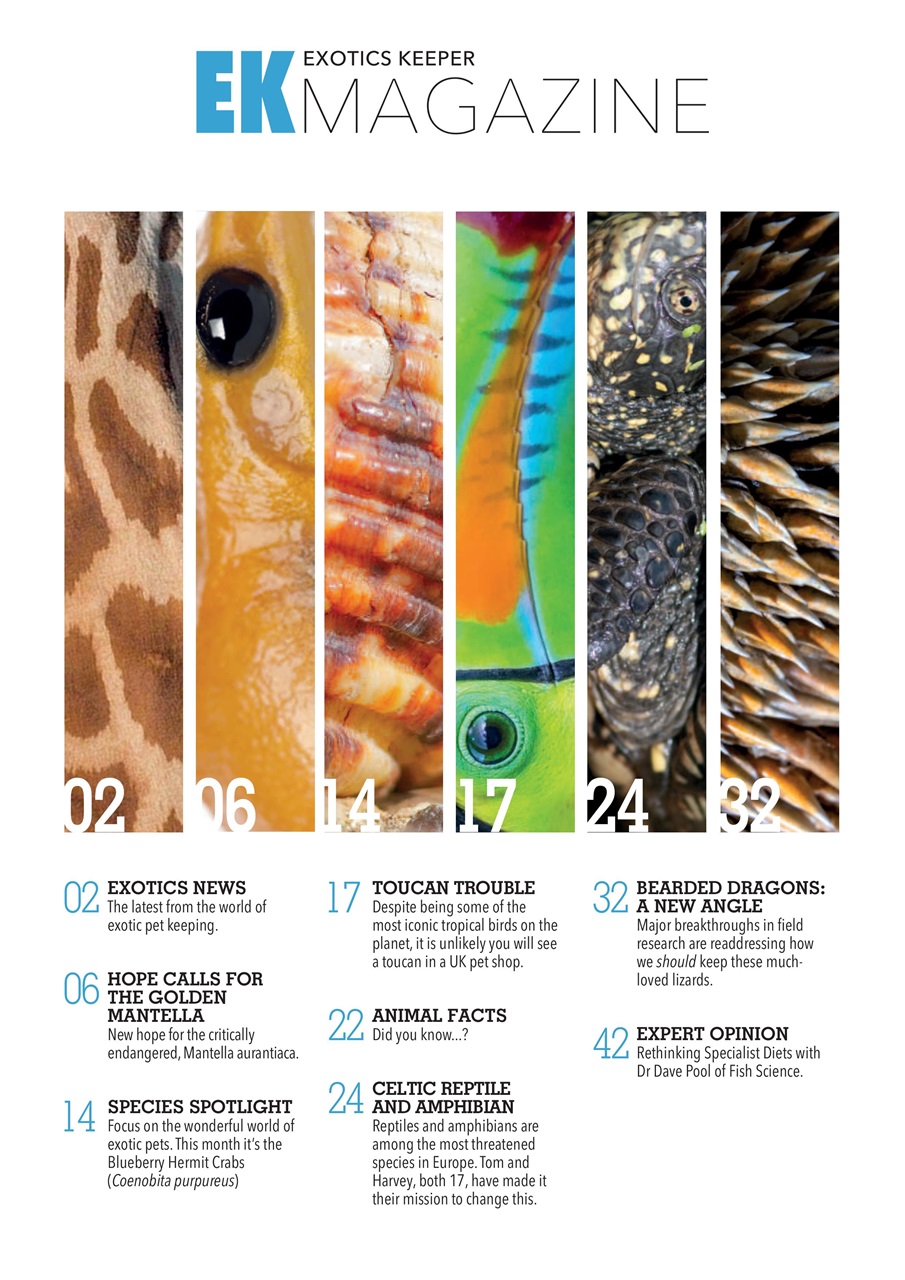 Exotics Keeper Preview Pages