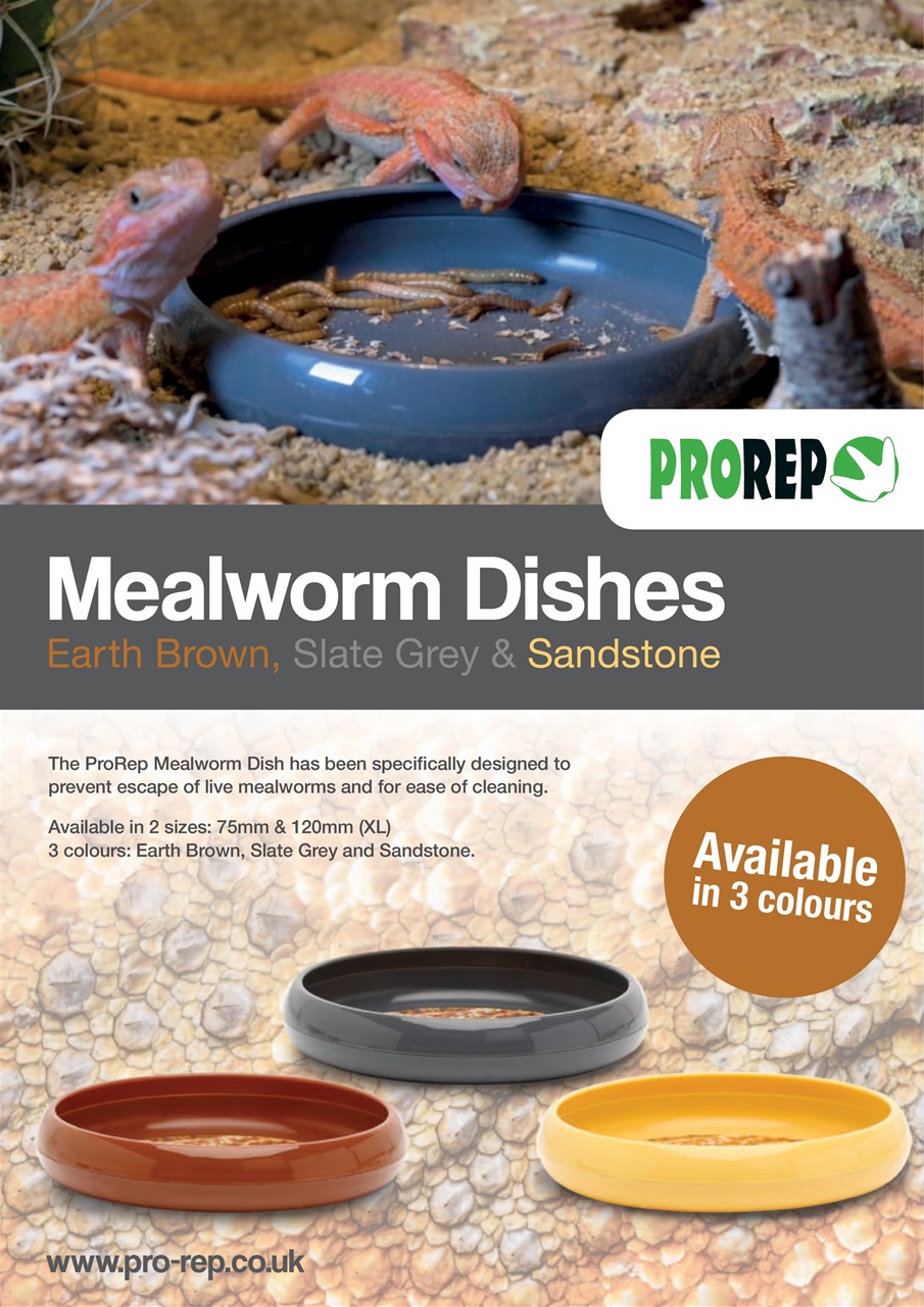 Exotics Keeper Preview Pages