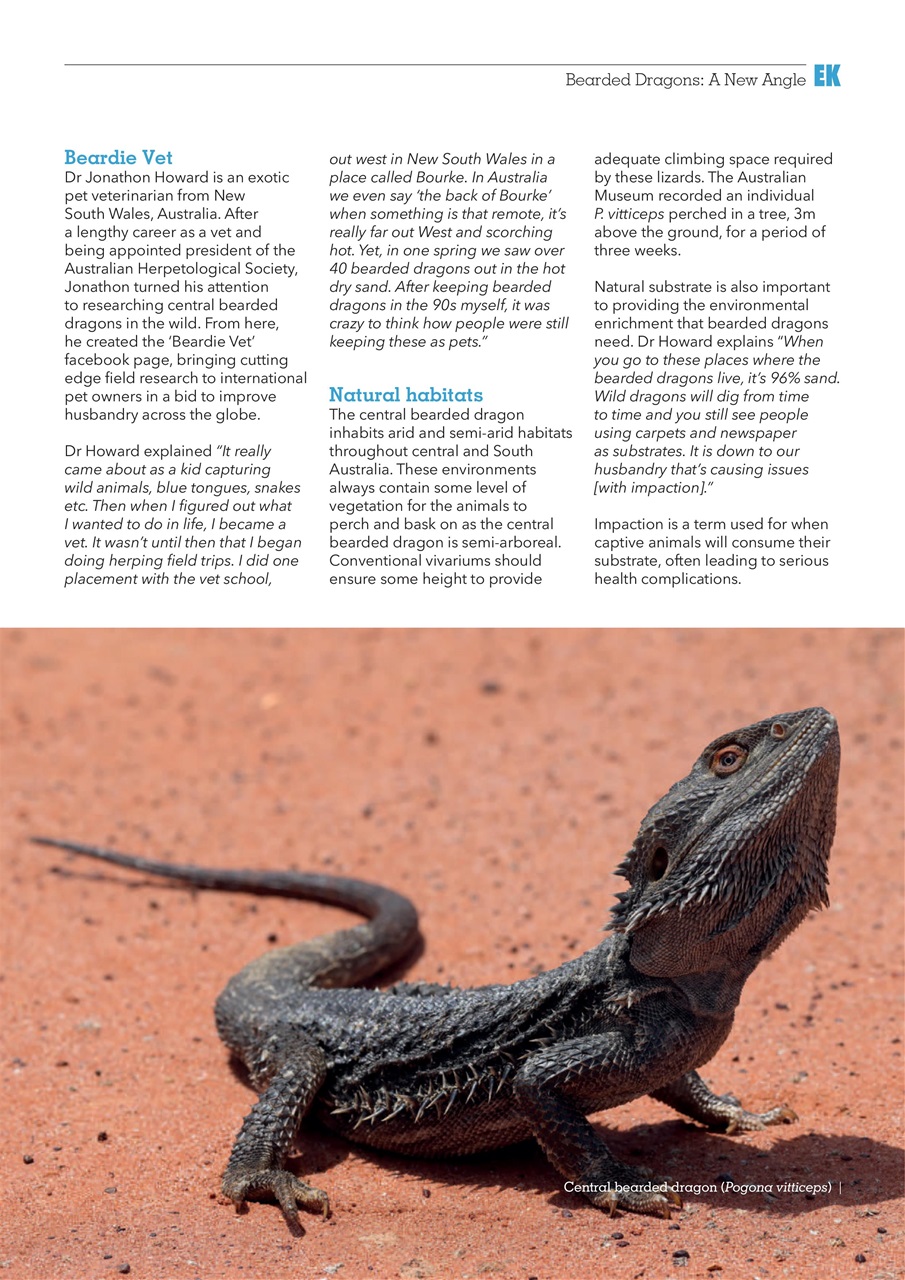 Exotics Keeper Preview Pages