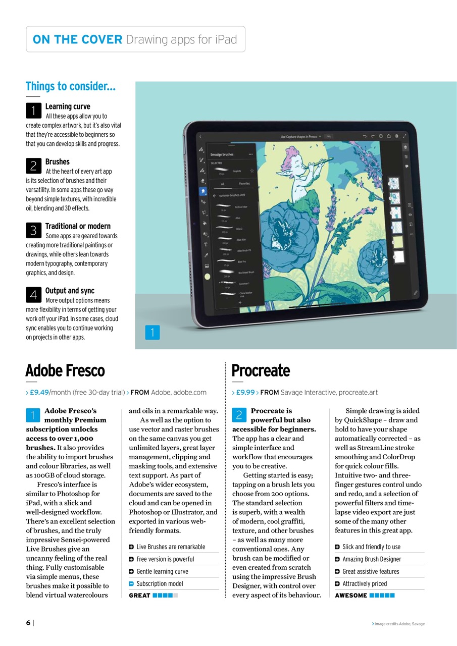 iPad User Preview Pages