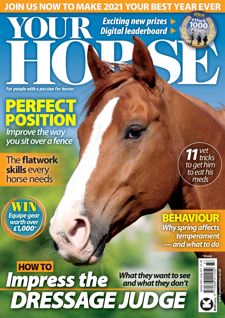 Your Horse Preview Pages