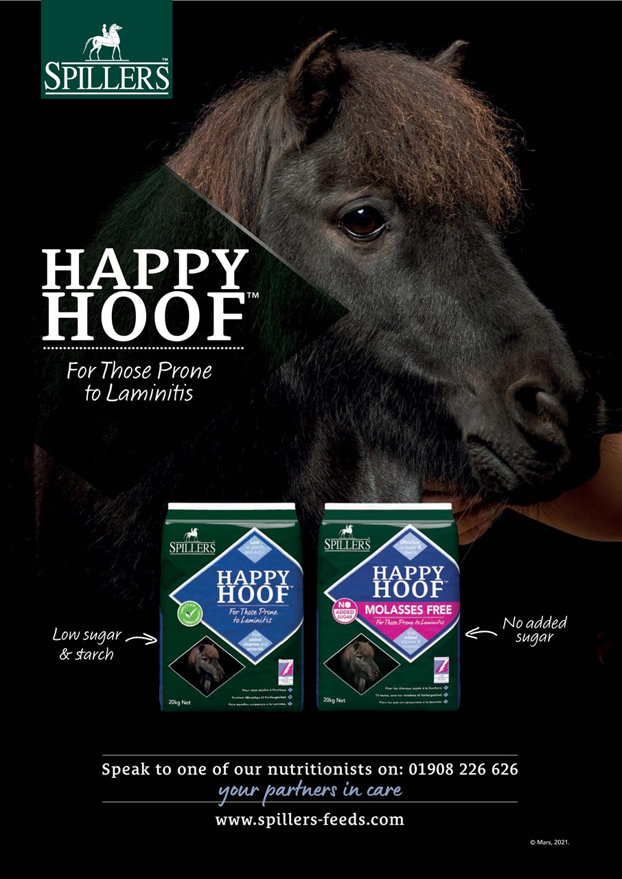 Your Horse Preview Pages