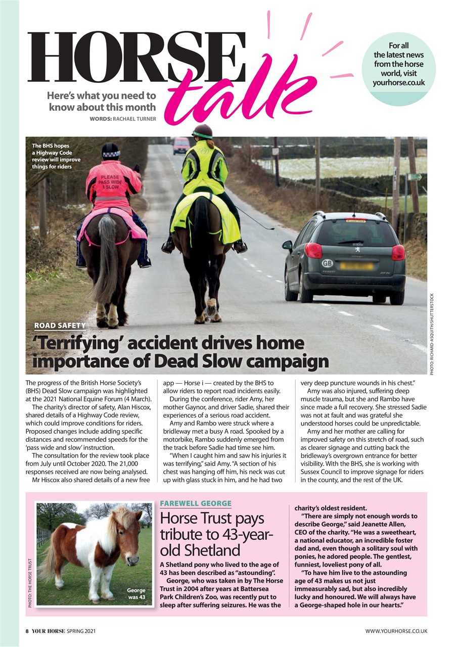 Your Horse Preview Pages