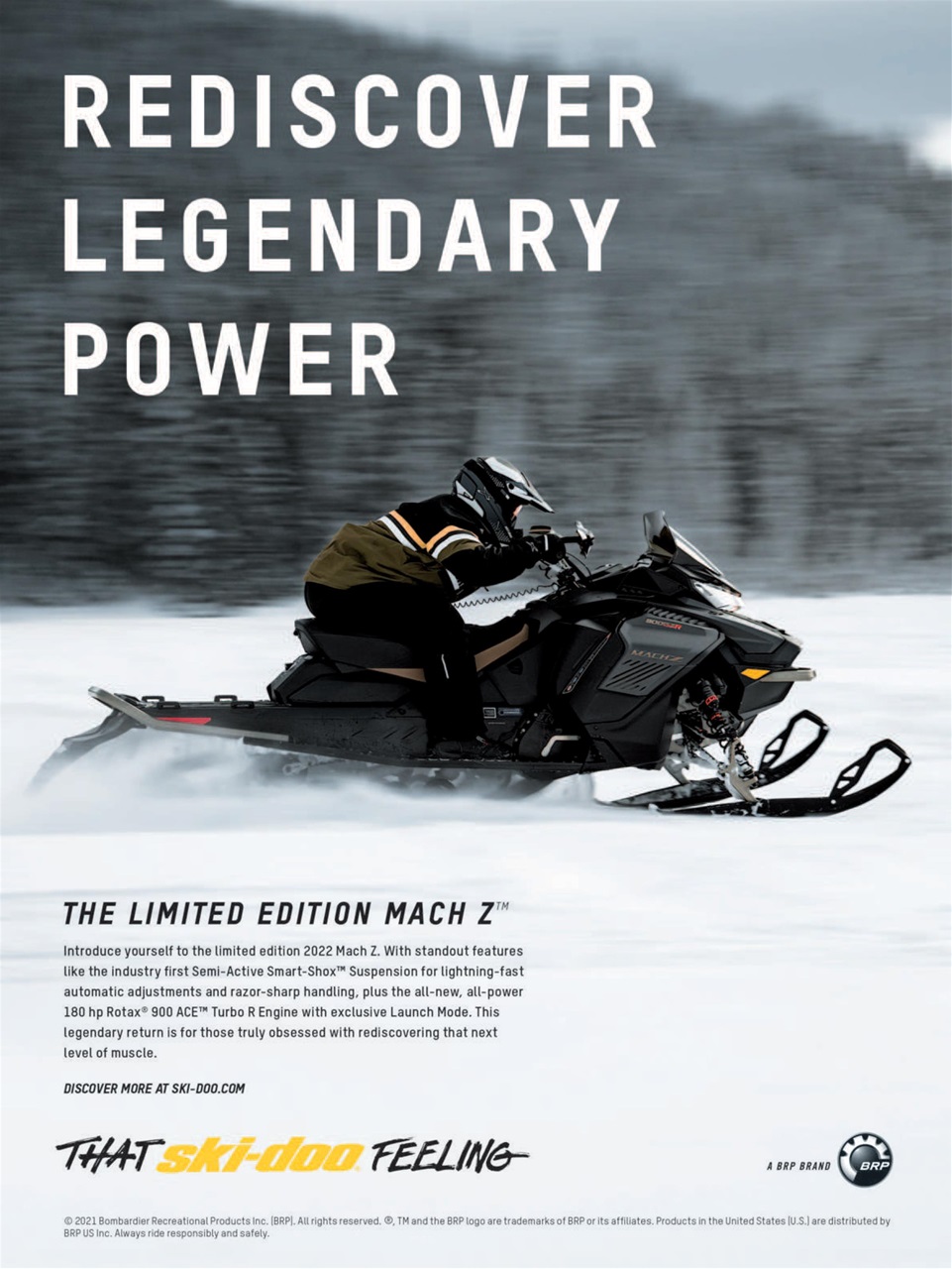 SnowGoer Preview Pages