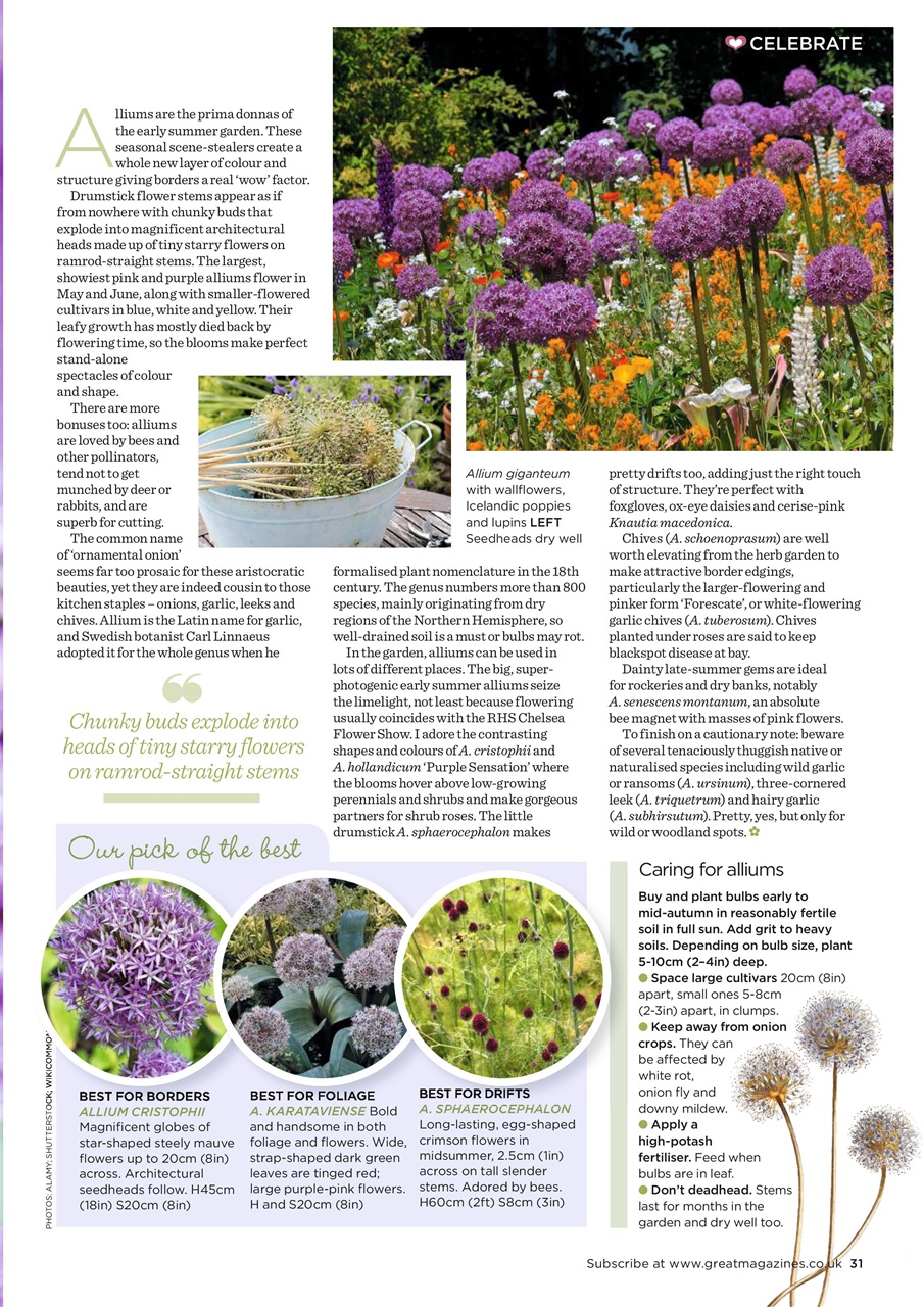 Garden Answers Preview Pages