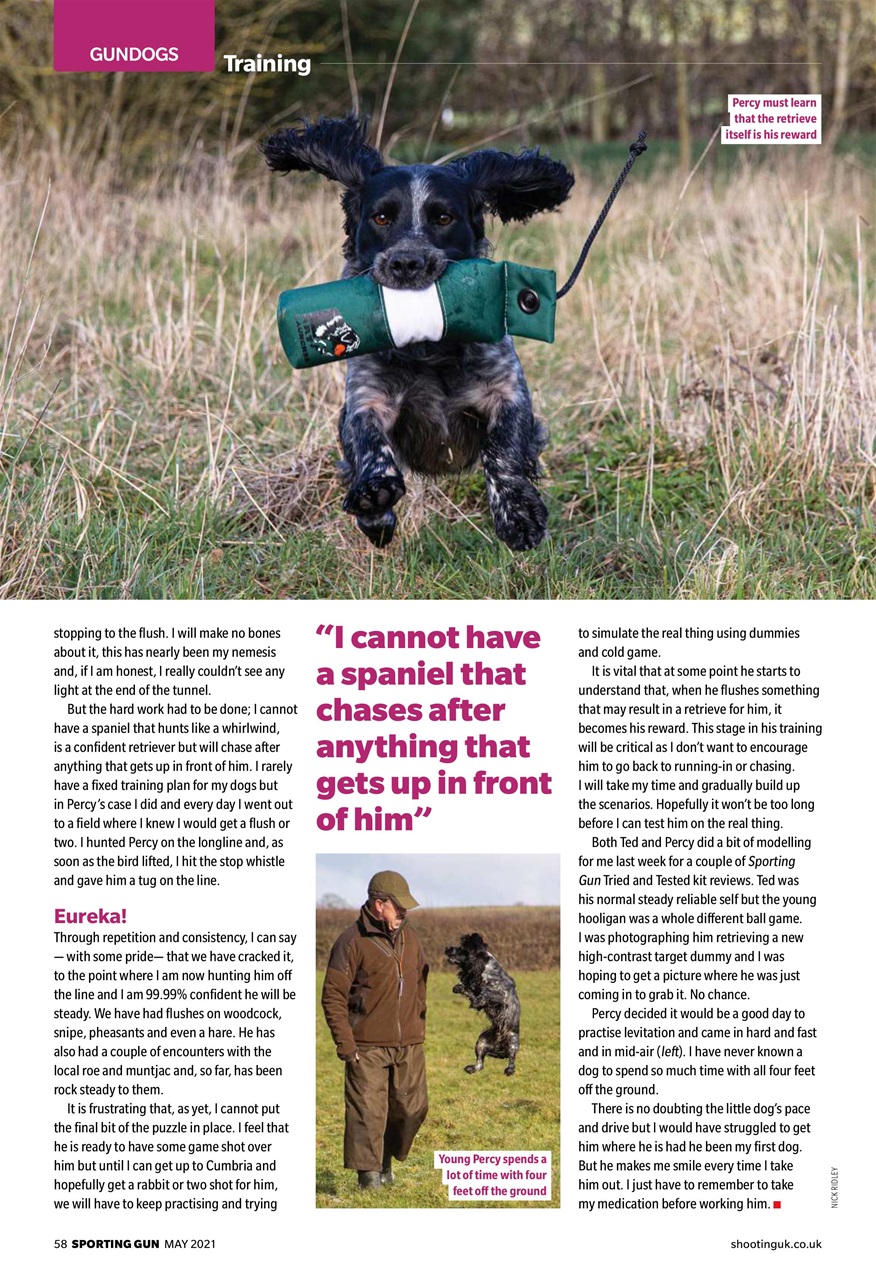 Sporting Gun Preview Pages