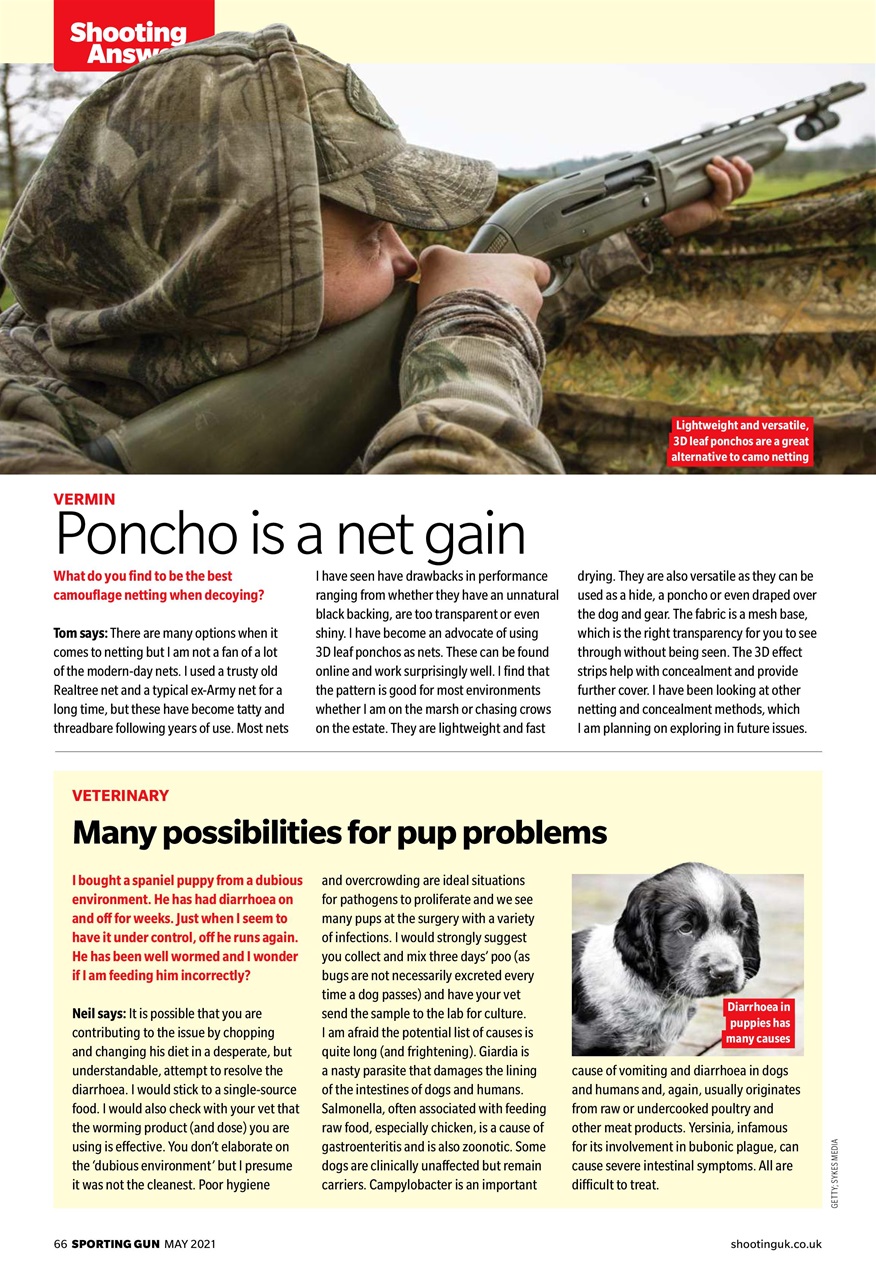Sporting Gun Preview Pages