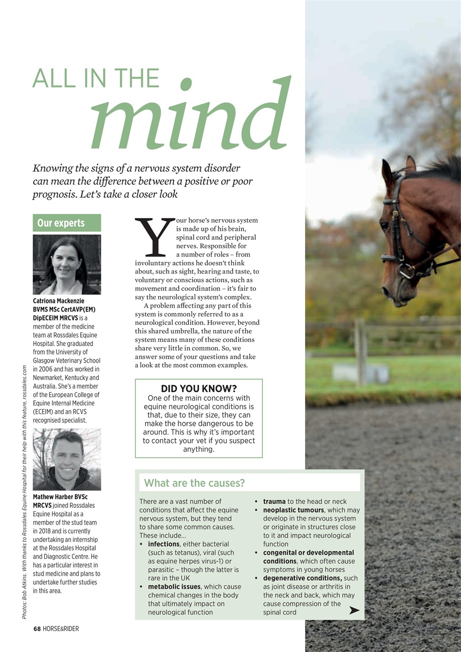 Horse&Rider Magazine - UK equestrian magazine for Horse and Rider Preview Pages