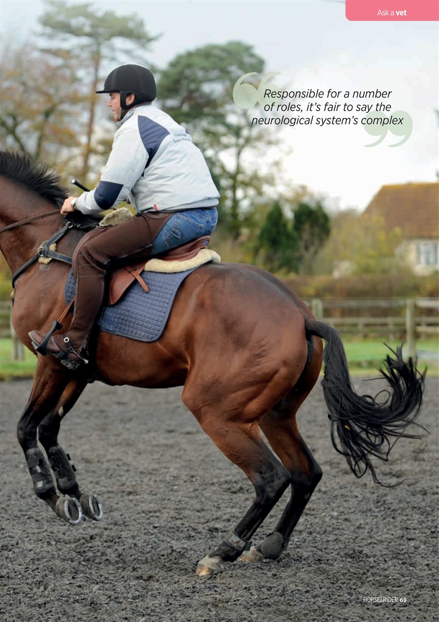 Horse&Rider Magazine - UK equestrian magazine for Horse and Rider Preview Pages