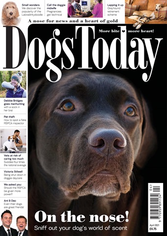 Dogs Today Magazine issue April 2021