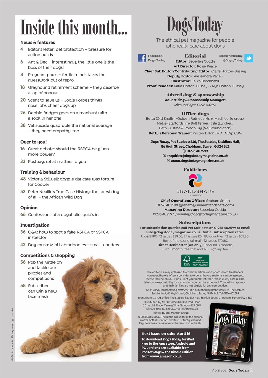 Dogs Today Magazine Preview Pages