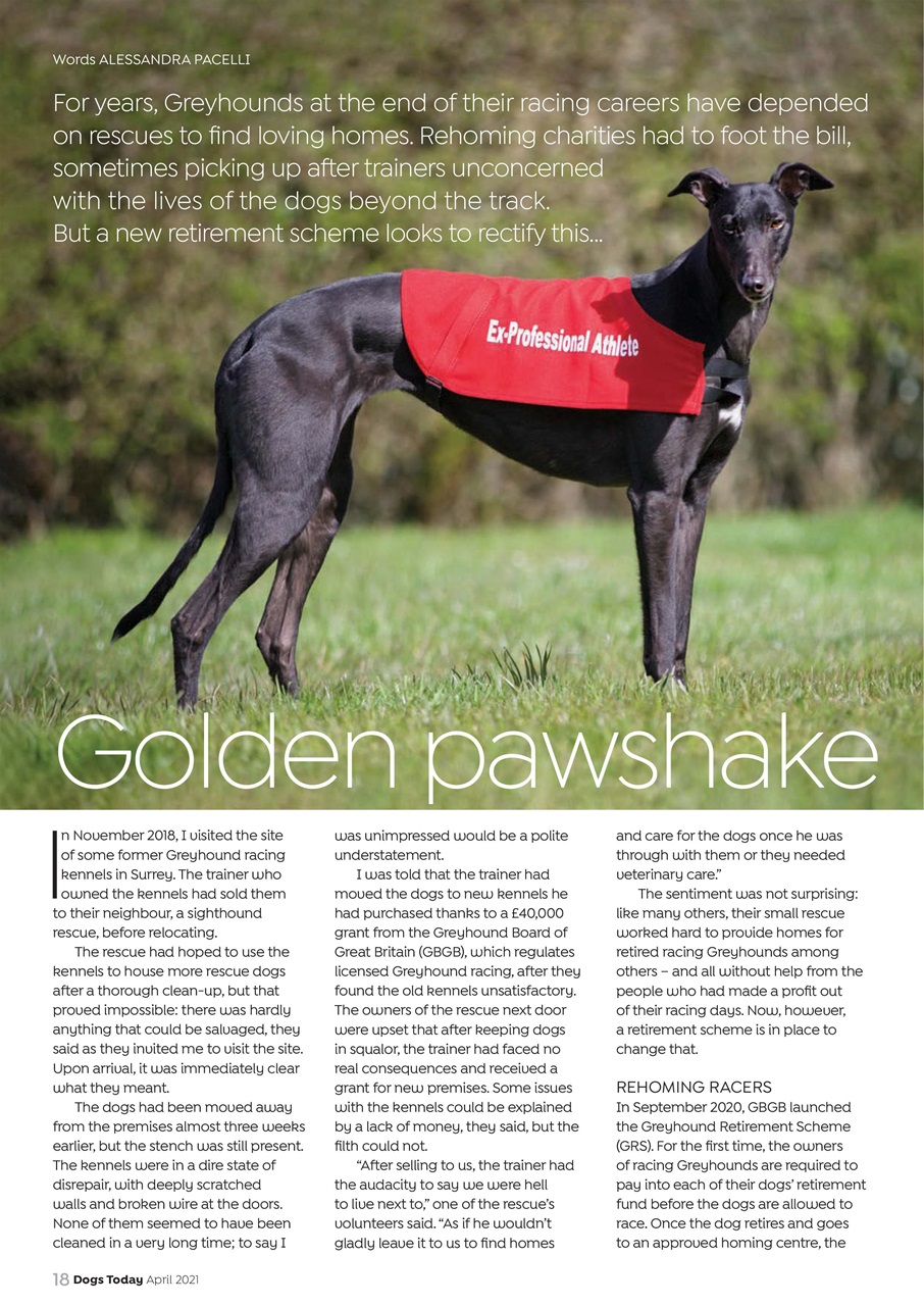 Dogs Today Magazine Preview Pages
