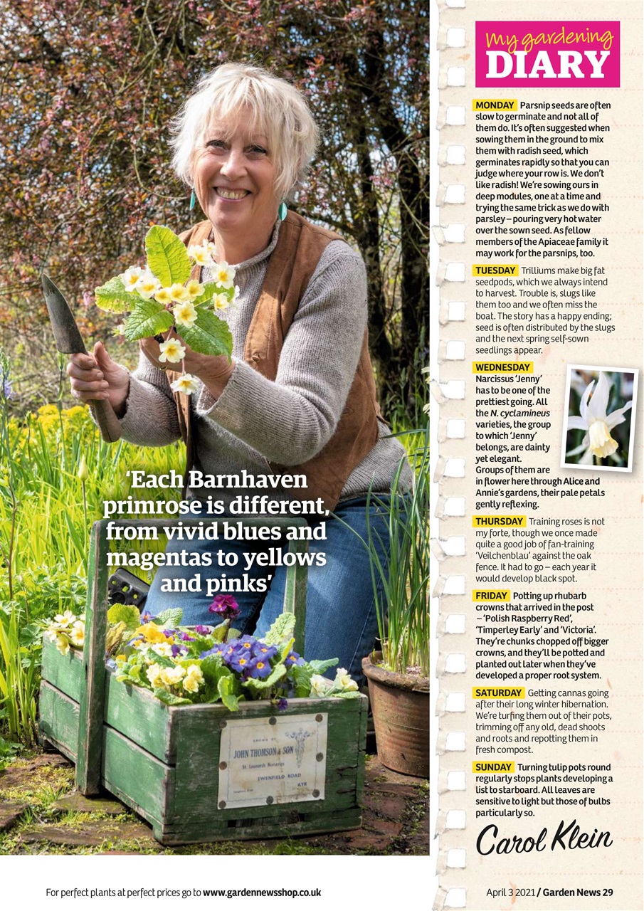 Garden News Preview Pages