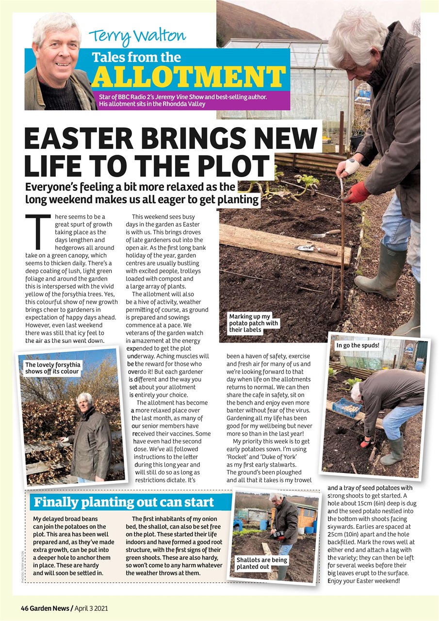 Garden News Preview Pages