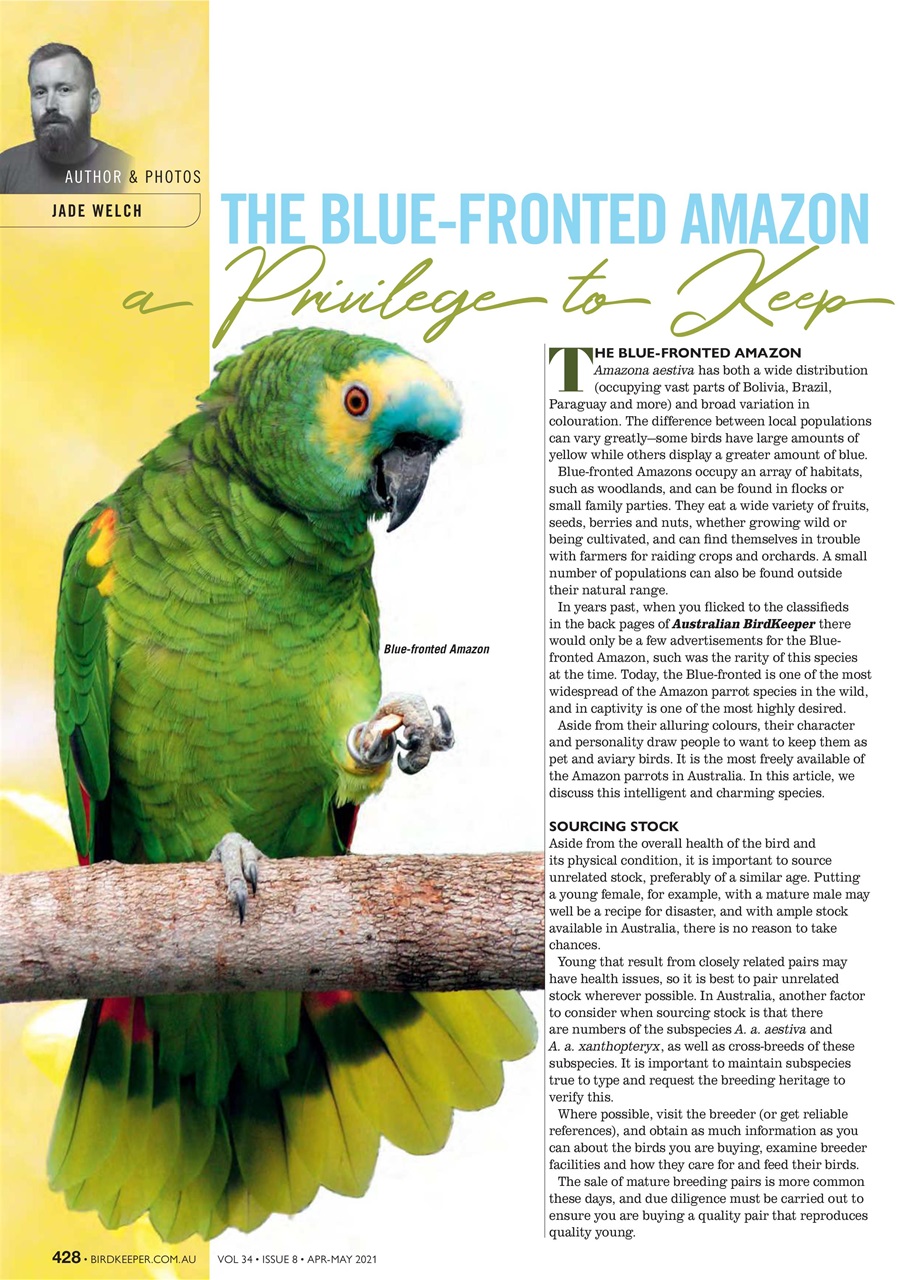 Australian Birdkeeper Magazine Preview Pages