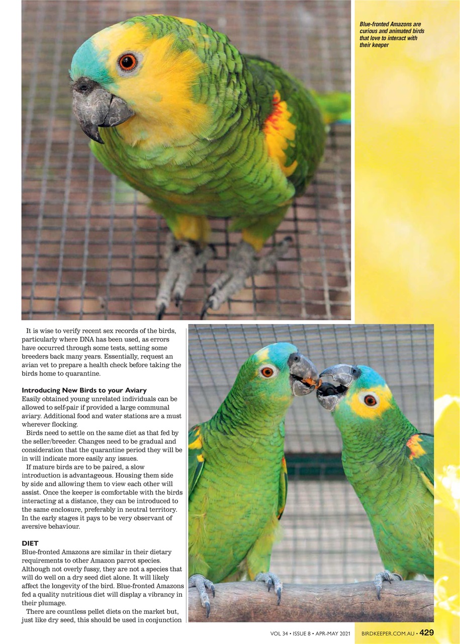 Australian Birdkeeper Magazine Preview Pages