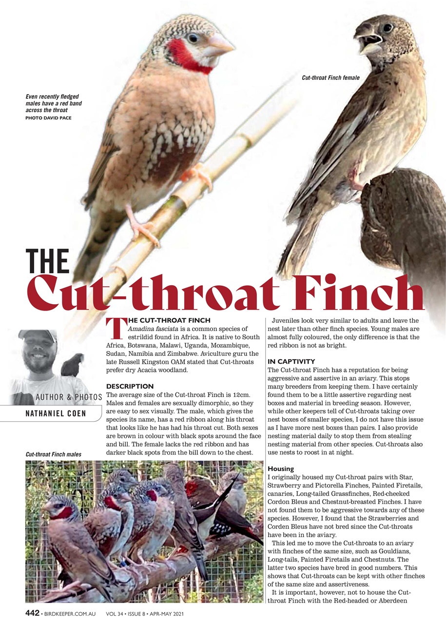 Australian Birdkeeper Magazine Preview Pages