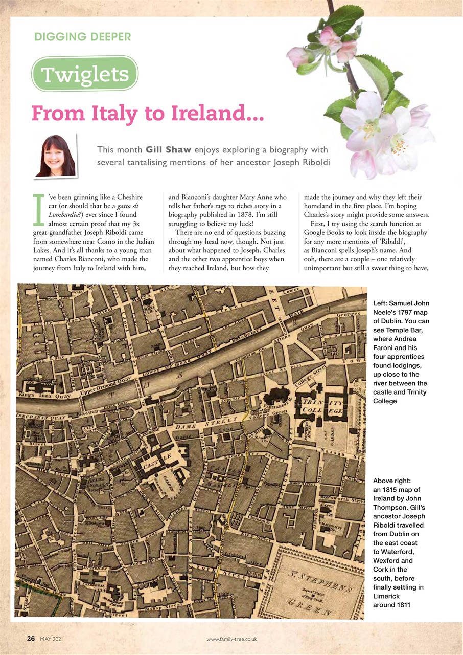 Family Tree Preview Pages