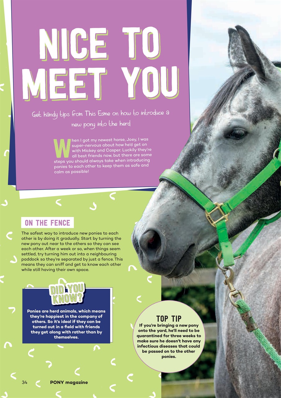 Pony Magazine Preview Pages