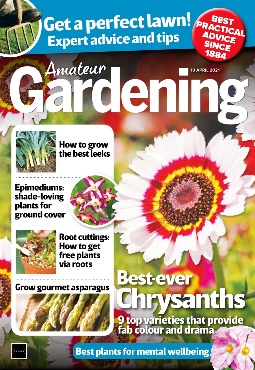 Amateur Gardening Preview Pages