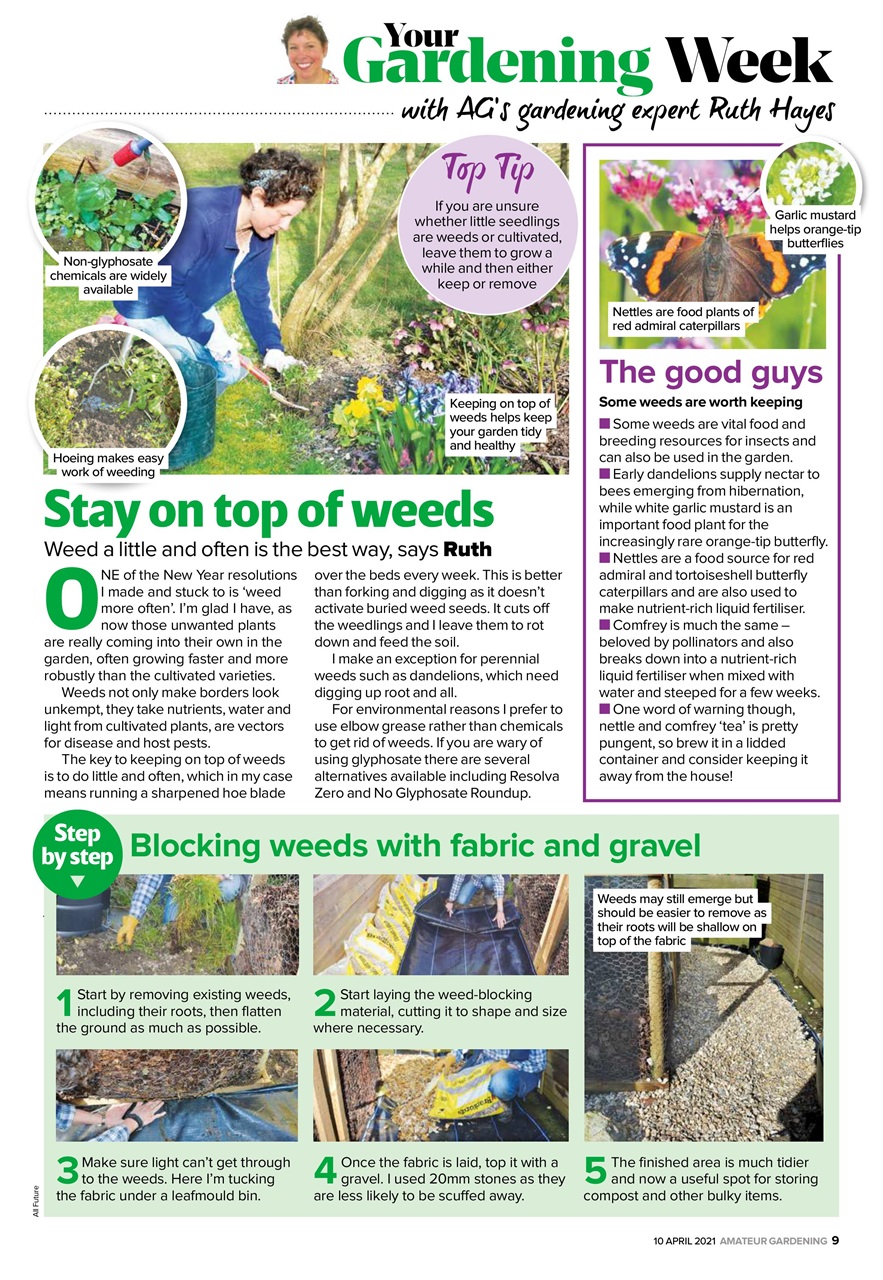 Amateur Gardening Preview Pages