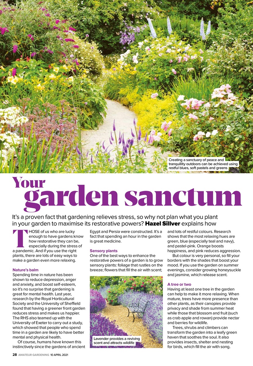 Amateur Gardening Preview Pages